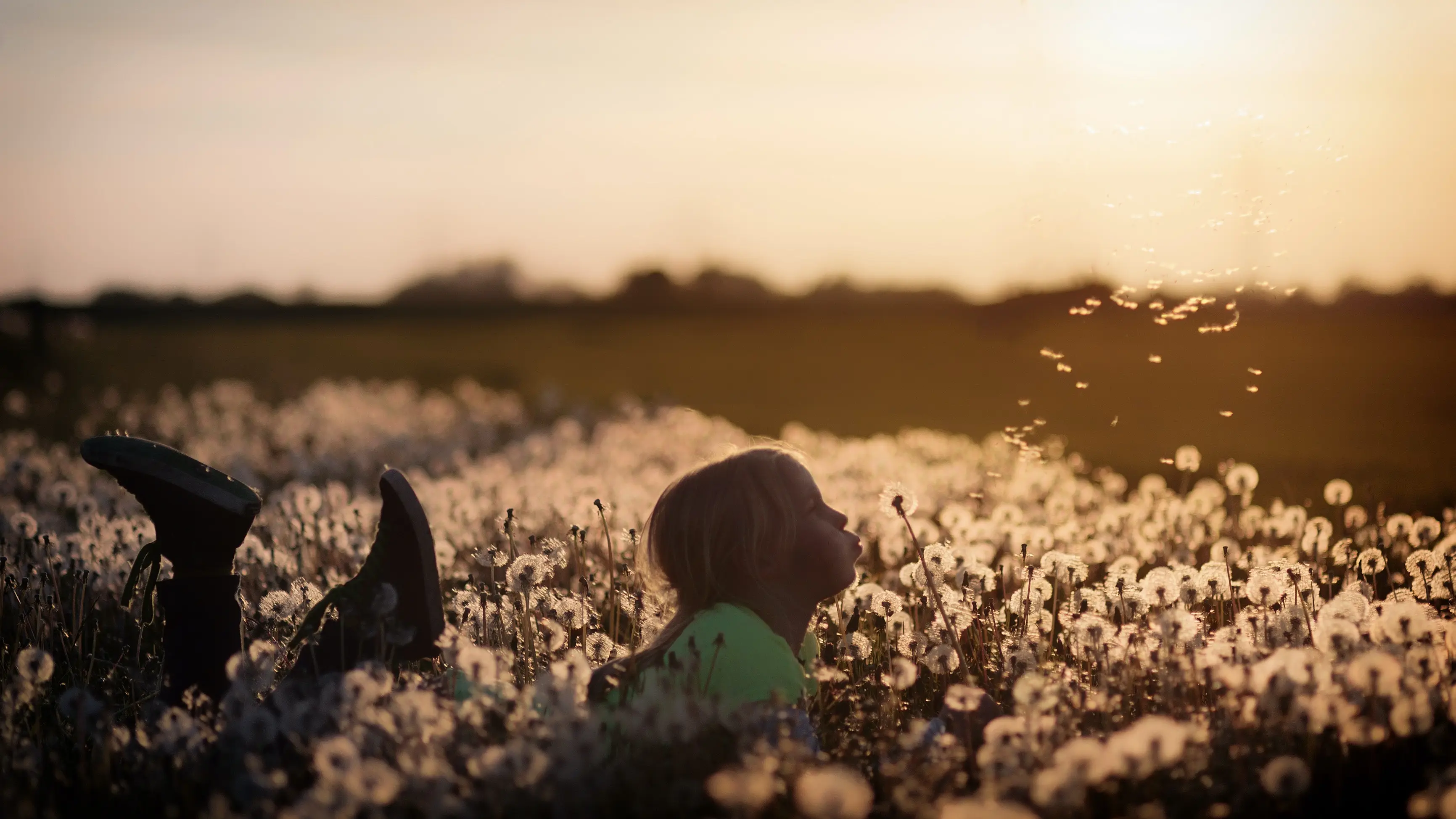 Ein Kind das in einem Feld aus Löwenzahn liegt